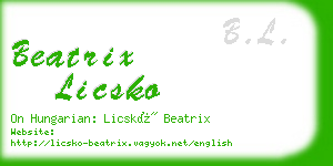 beatrix licsko business card